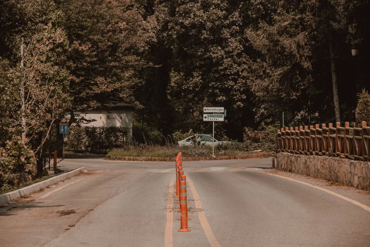 Traditional vs Self-Publishing: How Your Path Changes Your Blurb and Marketing Copy
